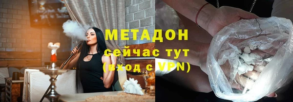 индика Новодвинск