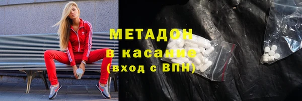 индика Новодвинск