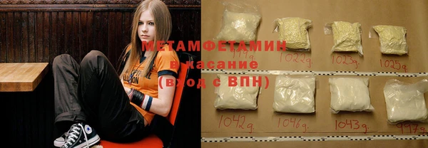 индика Новодвинск