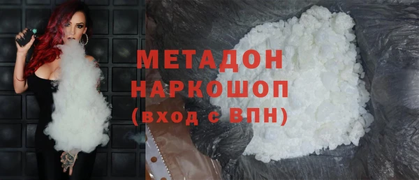 индика Новодвинск