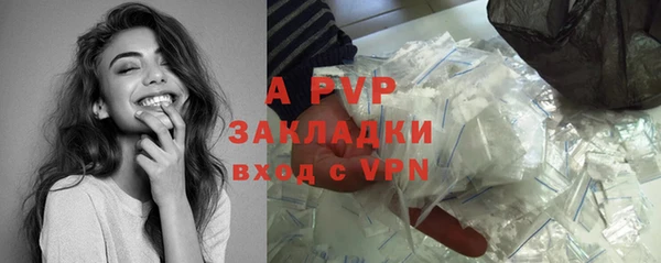 индика Новодвинск