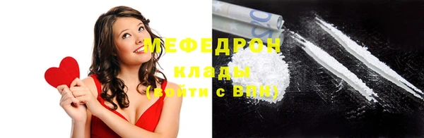 индика Новодвинск