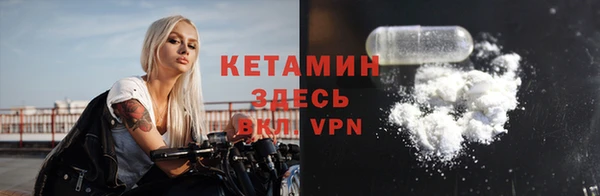 индика Новодвинск