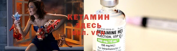 индика Новодвинск