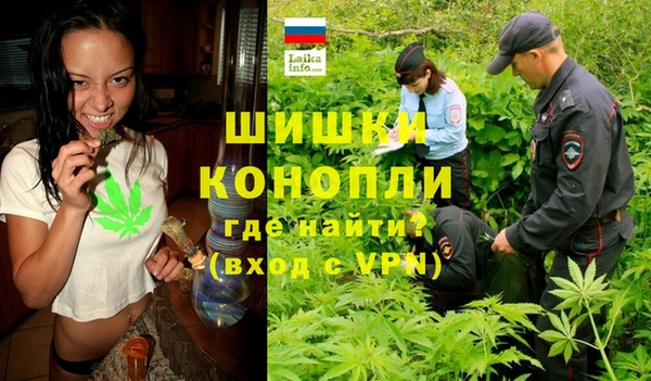 молекула духа Нягань