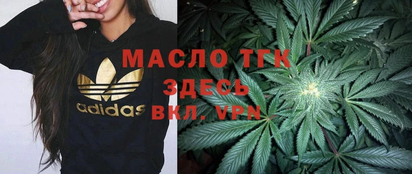 индика Новодвинск