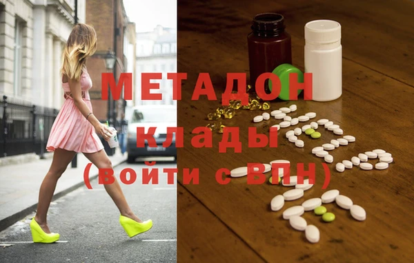 индика Новодвинск