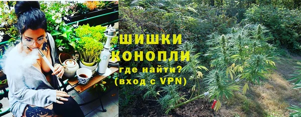 метадон Новозыбков