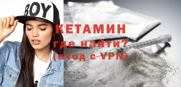 индика Новодвинск