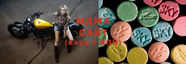 индика Новодвинск