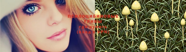 молекула духа Нягань