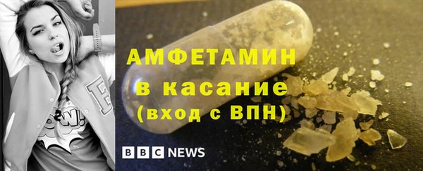 индика Новодвинск