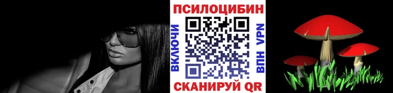 блэк спрут зеркало  купить   площадка клад  Псилоцибиновые грибы прущие грибы  Онега 